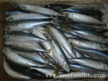Frozen pacific mackerel fish 8-10p/ kg