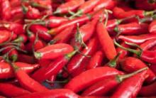  Fresh   Red   Chili  pepper