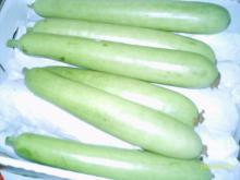bottle gourd