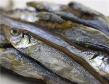 Good quality frozen dried capelin
