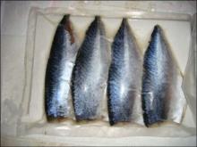 high quality mackerel with frozen food