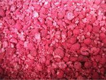 gread quality IQF respberry crumble