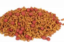 dry dog food/high protein pet food
