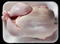 A grade frozen halal chicken