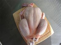 FROZEN WHOLE HALAL CHICKEN