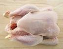 frozen halal  chicken   meat , processed  chicken  feets lamb,goat and cow  meat 