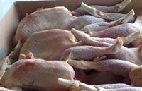 Halal Meat Chicken Mutton Beef Whole and Cut