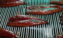 unagi japanese food