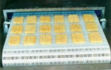 microwave equipment for drying and sterilization Pasta