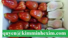 Fresh Red Rose Apple Fruit