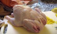 Frozen Whole chicken Broiler
