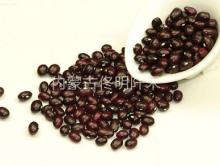Round purple kidney Bean
