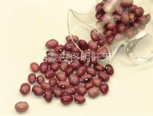 round pearl kidney bean