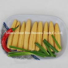 Canned Baby Corn