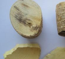 Supply  Tongkat   Ali   Extract   Powder  100:1