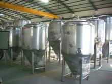 30BBL Fermentation Tank/Stainless Steel Tank