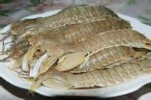 High nutrient mantis shrimp with good quality