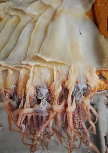Good quality squid sushi slice from china