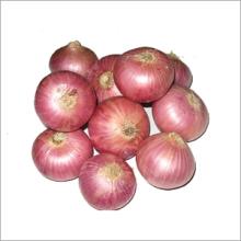  Onion s  Red  & Yellow