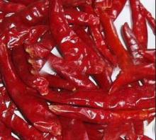 Chilli