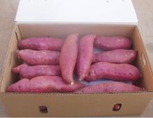 Sweet potato