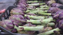  Fresh   Artichoke s