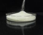  Chondroitin  Sulfate