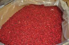  Frozen  Lingonberries