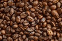 Coffee bean and Cacao for Sale