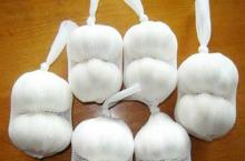 Chinese Fresh Garlic