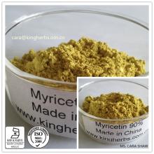 KINGHERBS' Myricetin 50%,80%,90%,98% by HPLC from China