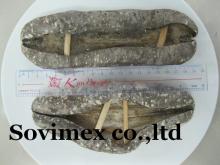 dried flower teat fish