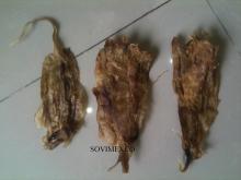 dried fish maw