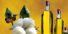  Cotton   seed  oil