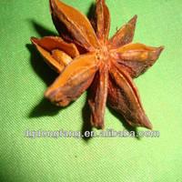 Source  Area  High Quality Salable Star Anise,Aniseed