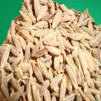 Cumin Seeds