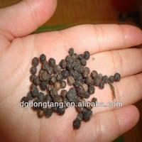 Dried Ground Black Pepper Exporters in Agricuture