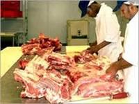  Frozen   Halal   Beef  Meat