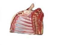  Lamb   Meat 