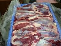 Frozen Fresh Buffalo Meat and Frozen Horse Meat