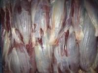 Frozen Halal Shin Shank of Beef or Buffalo Meat -export Quality