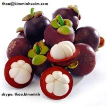 MANGOSTEEN FRUIT