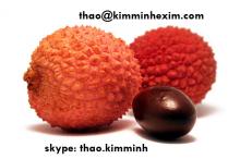 LYCHEE FRUIT