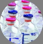 mannitol d-mannitol