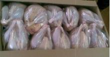 Halal Frozen Whole Chicken Griller