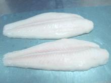 Pangasius well-trimmed fillet/ Pangasius fish
