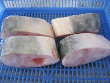 Pangasius steak/ Pangasius fish/ Basa fish
