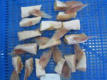 Pangasius fin/ Basa fin/ Cat fish
