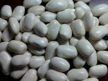 2013 new crop Japanese Type White Kidney Beans