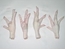 Chicken  feet  Processed  A quality